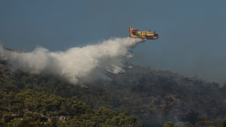 Φωτιά στη Βοιωτία: Βελτιωμένη η εικόνα της πυρκαγιάς στην Στεφάνη