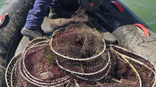 Θεσσαλονίκη: Εντοπίστηκαν και κατασχέθηκαν 96 ιχθυοπαγίδες στον Θερμαϊκό Κόλπο