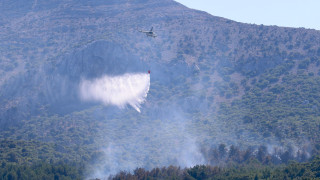 Υπό έλεγχο η φωτιά στη Χίο - Συνελήφθη άνδρας που εκτελούσε γεωργικές εργασίες