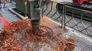 Δήμος Θεσσαλονίκης: Πάνω από 2.500 δενδροδόχοι καθαρίστηκαν στα πεζοδρόμια