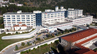 Λαμία: 30χρονος νοσηλεύεται στη ΜΕΘ από τσίμπημα μαύρης αράχνης