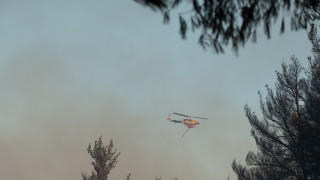 Συναγερμός για φωτιά στη Νέα Προποντίδα - Στο σημείο ένα ελικόπτερο