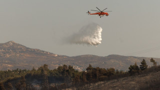 Φωτιά σε δασική έκταση στην Κρανιά Γρεβενών - Επιχειρούν δύο ελικόπτερα