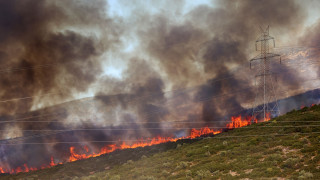 Χειροπέδες σε 53χρονο και 45χρονο για τη φωτιά στον Μύτικα Θήβας 