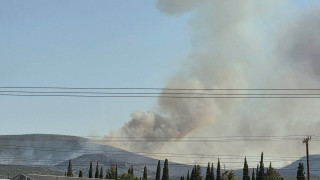 Οι βροχές δεν σταμάτησαν τις φωτιές - Ξέσπασαν 48 πυρκαγιές σε ένα 24ωρο