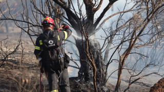Οριοθετήθηκε η φωτιά στην Παιανία - Δεν απειλήθηκαν κατοικίες