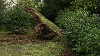 Ισχυρή μπόρα στη Θεσσαλονίκη: Έπεσαν δέντρα, πλημμύρισαν σταθμοί του Μετρό