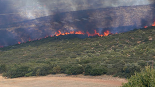 Δύσκολο δεκαήμερο με ισχυρούς ανέμους και υψηλές θερμοκρασίες - Υψηλός κίνδυνος φωτιάς
