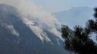 Ανεξέλεγκτη η φωτιά στην Κόνιτσα: Καίει παρθένο δάσος - Μάχη να μην φτάσει στην πόλη