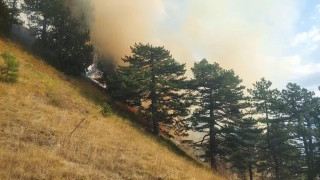 Κόνιτσα: Κερδίζουν τη μάχη με τις φλόγες οι δασοκομάντο