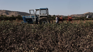 Αγροτικές ενισχύσεις: Διευκρινίσεις της ΑΑΔΕ για την καταβολή, τον συμψηφισμό και το ακατάσχετο