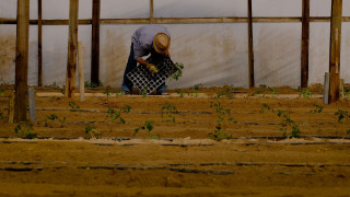 Γεωργία: Η γη που μας θρέφει