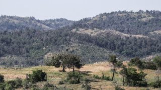 Τη διερεύνηση της μαζικής δηλητηρίασης άγριων ζώων στη Δαδιά ζητούν περιβαλλοντικές οργανώσεις
