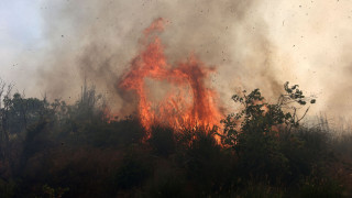 Σύλληψη 40χρονου για εμπρησμούς στην Εύβοια - Έβαζε φωτιές με αναπτήρα δίπλα σε δάσος