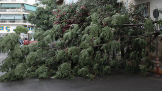 Καισαριανή: Διεκόπη η κυκλοφορία στη Φορμίωνος μετά από πτώση δέντρου