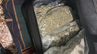 Πέντε Τούρκοι καλλιεργούσαν κάνναβη και τη διακινούσαν στα Εξάρχεια - Κατασχέθηκαν σχεδόν 10 κιλά 