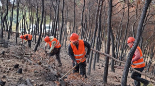 Προχωρούν με γοργούς ρυθμούς τα αντιπλημμυρικά έργα στα Μέγαρα - Αυτοψία Παπασταύρου στο σημείο