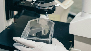 Αυξάνουν την πίεση στη Ρωσία οι ΗΠΑ για την πανώλη - Κατέθεσαν επίσημο διάβημα για ενημέρωση