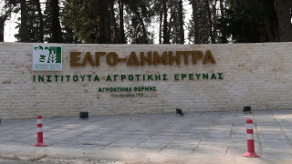 Παραιτήθηκαν δύο αντιπρόεδροι του ΕΛΓΟ - ΔΗΜΗΤΡΑ: Τι αναφέρει το ΥΠΑΑΤ
