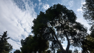 Καιρός: Ηλιοφάνεια στο μεγαλύτερο μέρος της χώρας - Μικρή πτώση του υδράργυρου