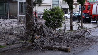 Αναμοστρόβιλος «ξήλωσε» κολώνα φωτισμού και κεραμύδια στο Λαύριο - Μία τραυματίας