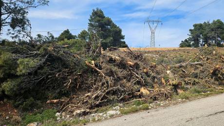 Μέχρι 2.000 ευρώ το πρόστιμο για ακαθάριστα οικόπεδα: Τι προβλέπει το νέο νομοσχέδιο