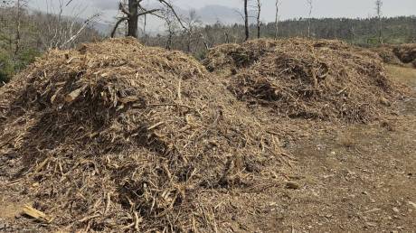 Καθαρισμός οικοπέδων: Τι αλλάζει με το νόμο Ενεργή Μάχη - Από 1η Απριλίου έως 15 Ιουνίου η προθεσμία