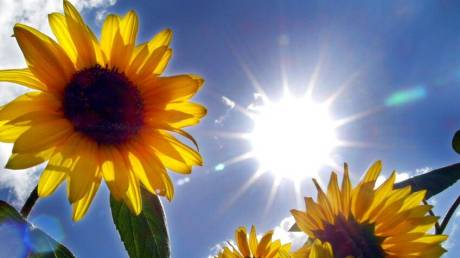 Εαρινή ισημερία: Πότε είναι η πρώτη μέρα της Άνοιξης - Τι συμβαίνει στο νότιο ημισφαίριο