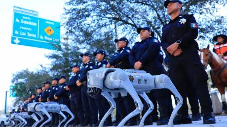 Ρομποτικοί σκύλοι θα περιπολούν στα γήπεδα του Μεξικού για το Μουντιάλ 2026