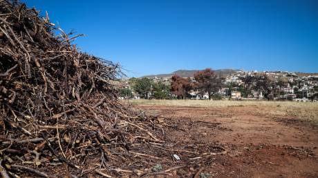 Κεφαλογιάννης: Ο καθαρισμός οικοπέδων βασικό εργαλείο πρόληψης για την αντιπυρική περίοδο