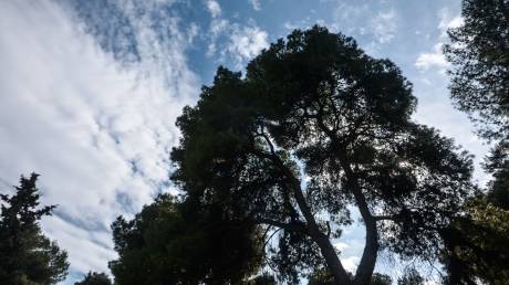 Καιρός: Γενικά αίθριος στις περισσότερες περιοχές - Πού θα εκδηλωθούν μεμονωμένες καταιγίδες