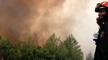Υπό έλεγχο οι φωτιές σε Φθιώτιδα και Φάρσαλα - Έγκαιρη η επέμβαση της Πυροσβεστικής