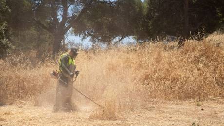 Ακαθάριστα οικόπεδα: Το μέτρο στην πράξη και τα «αγκάθια» - Ο Γρ. Κωνσταντέλλος στο CNN Greece