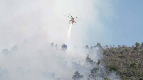 Φωτιά στην Οινόη: Τι είναι η πυροεπαγωγική συμπεριφορά και γιατί «δημιουργεί τον δικό της καιρό»