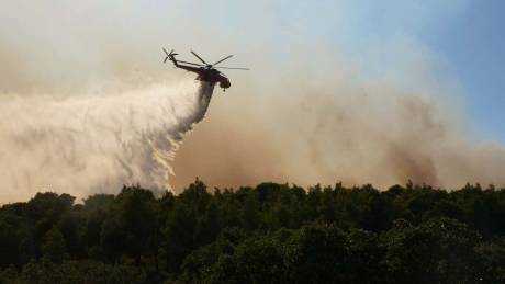 Μήνυμα του 112 για την φωτιά στην Δυτική Αττική: Εντολή εκκένωσης προς Μέγαρα