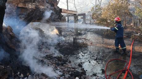 Σαλαμίνα: Από αμέλεια η φωτιά στα Περιστέρια-150 μέτρα από όπου βρέθηκαν οι νεκροί το «σημείο μηδέν»