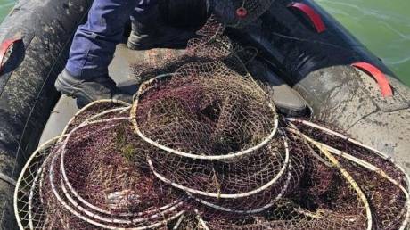 Θεσσαλονίκη: Εντοπίστηκαν και κατασχέθηκαν 96 ιχθυοπαγίδες στον Θερμαϊκό Κόλπο