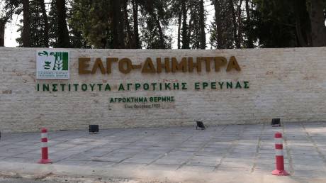 Παραιτήθηκαν δύο αντιπρόεδροι του ΕΛΓΟ - ΔΗΜΗΤΡΑ: Τι αναφέρει το ΥΠΑΑΤ