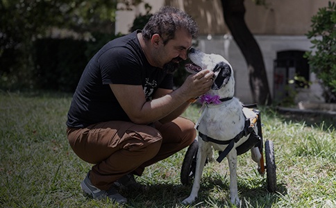 Βασίλης Τζιγκούρας