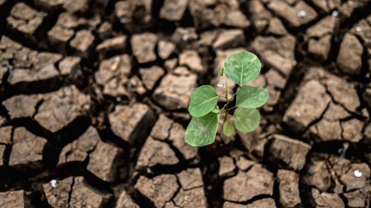 Οι πρώτες ποσότητες νερού γεμίζουν το φράγμα Μπραμιανών στην Ιεράπετρα