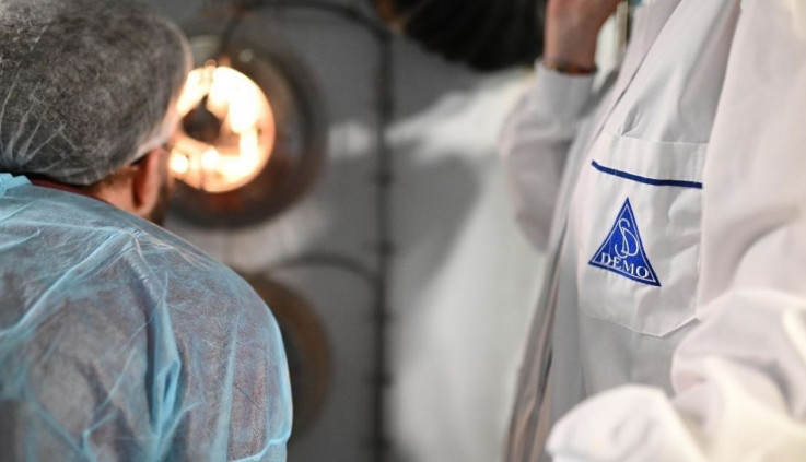 DEMO και κρίσιμα φάρμακα: Ενισχύοντας τη φαρμακευτική ασφάλεια στην Ευρώπη