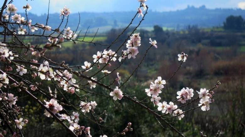 Καιρός: Μικρή άνοδος θερμοκρασίας