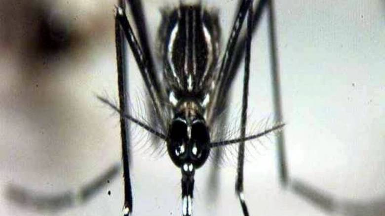 Η Google στη μάχη κατά του Ζίκα