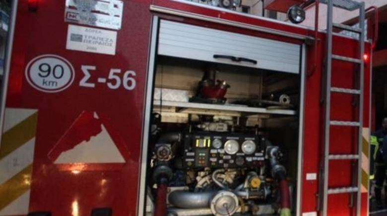 Χανιά: Δέντρο έπεσε σε αυτοκίνητο στην εθνική οδό (pics)