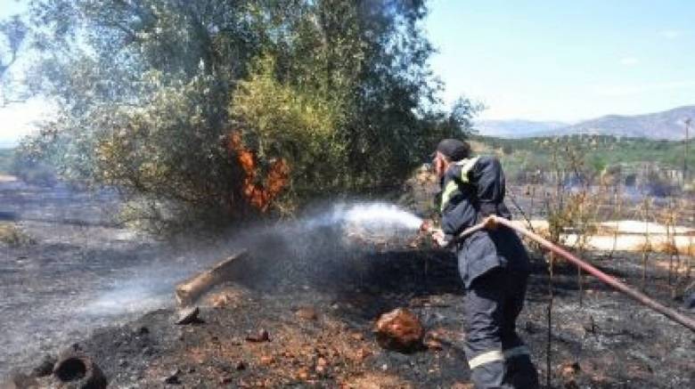 Πυρκαγιά σε δασική έκταση στην Πάτρα μετά από κεραυνούς