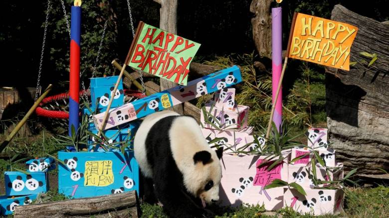 Δίδυμα πάντα στη Βιέννη γιορτάζουν τα πρώτα τους γενέθλια με φαγητό και ύπνο (pics)