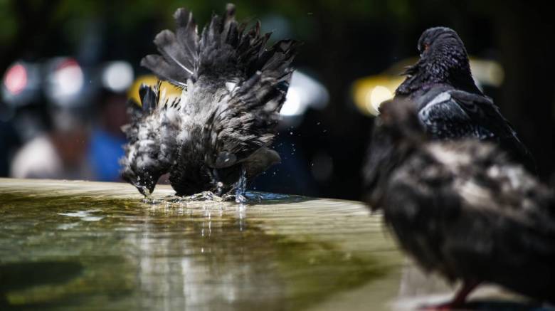 Καιρός: Σε ποιές περιοχές θα πέσει η θερμοκρασία
