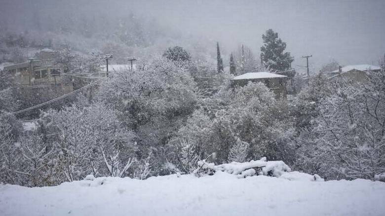 Καιρός: Αναλυτικά η πρόγνωση για σήμερα