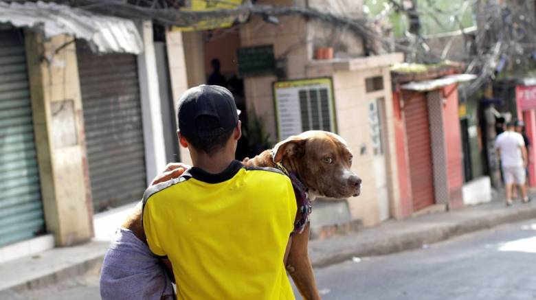 Ποιοι κινδυνεύουν περισσότερο από ένα δάγκωμα σκύλου