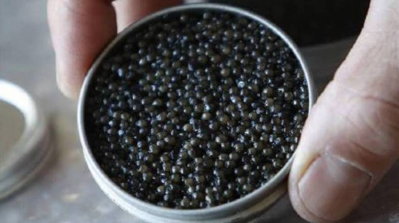 Μαύρο χαβιάρι στις ΗΠΑ για πρώτη φορά μετά από 25 χρόνια έστειλε το Ιράν